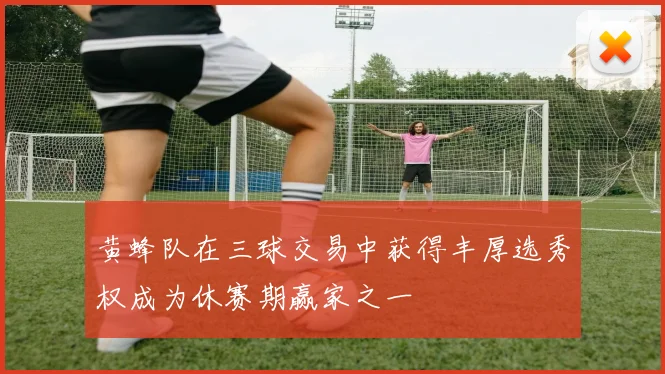 黄蜂队在三球交易中获得丰厚选秀权成为休赛期赢家之一